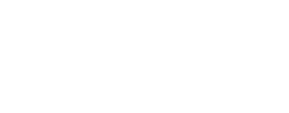 wow-logo-biz